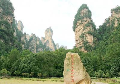 走湘西——張家界、鳳凰古城游記(一)
