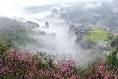 候鳥(niǎo)的選擇，彰顯湖南生態(tài)系統(tǒng)持續(xù)優(yōu)化